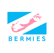 Bermies screenshot
